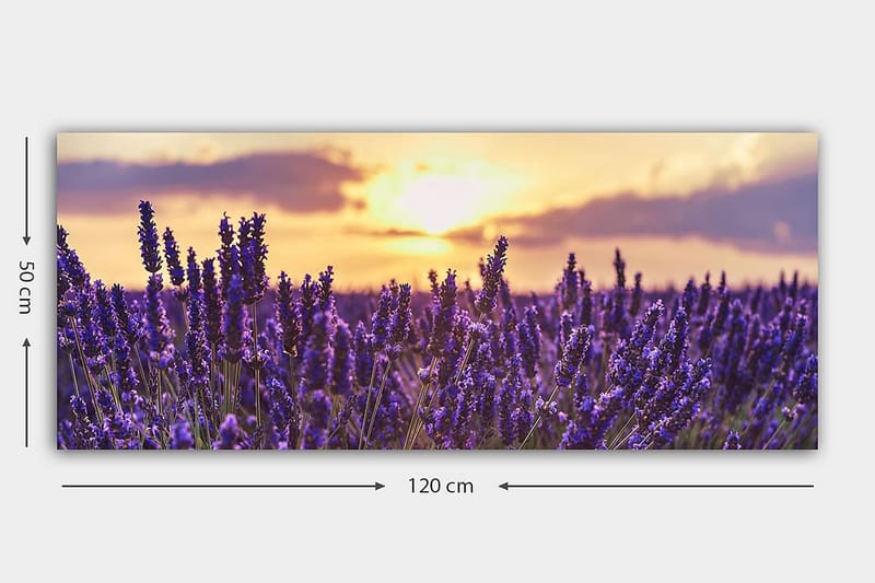 Canvasbilde YTY Floral & Botanical Flerfarget - 120x50 cm - Interiør - Maleri & posters - Lerretsbilder