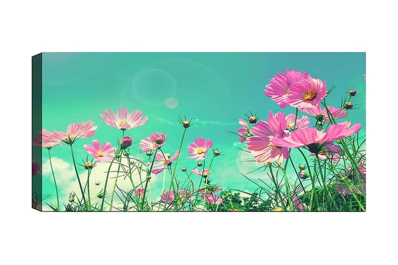 Canvasbilde YTY Floral & Botanical Flerfarget - 120x50 cm - Interiør - Maleri & posters - Lerretsbilder