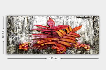 Canvasbilde YTY Floral & Botanical Flerfarget - 120x50 cm - Interiør - Maleri & posters - Lerretsbilder