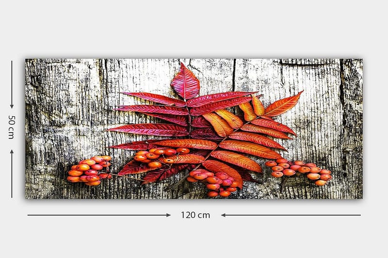 Canvasbilde YTY Floral & Botanical Flerfarget - 120x50 cm - Interiør - Maleri & posters - Lerretsbilder