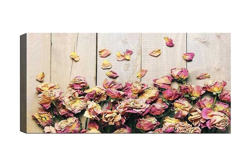 Canvasbilde YTY Floral & Botanical Flerfarget - 120x50 cm - Interiør - Maleri & posters - Lerretsbilder