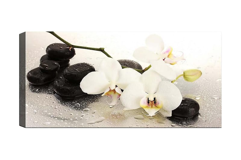 Canvasbilde YTY Floral & Botanical Flerfarget - 120x50 cm - Interiør - Maleri & posters - Lerretsbilder