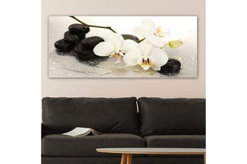 Canvasbilde YTY Floral & Botanical Flerfarget - 120x50 cm - Interiør - Maleri & posters - Lerretsbilder