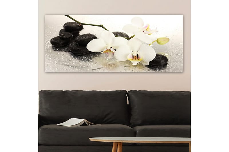 Canvasbilde YTY Floral & Botanical Flerfarget - 120x50 cm - Lerretsbilder