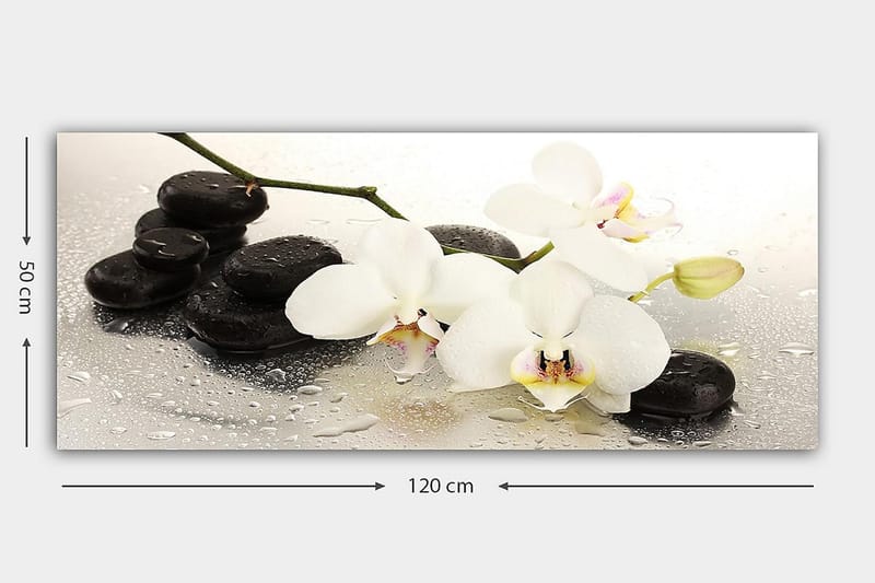 Canvasbilde YTY Floral & Botanical Flerfarget - 120x50 cm - Interiør - Maleri & posters - Lerretsbilder