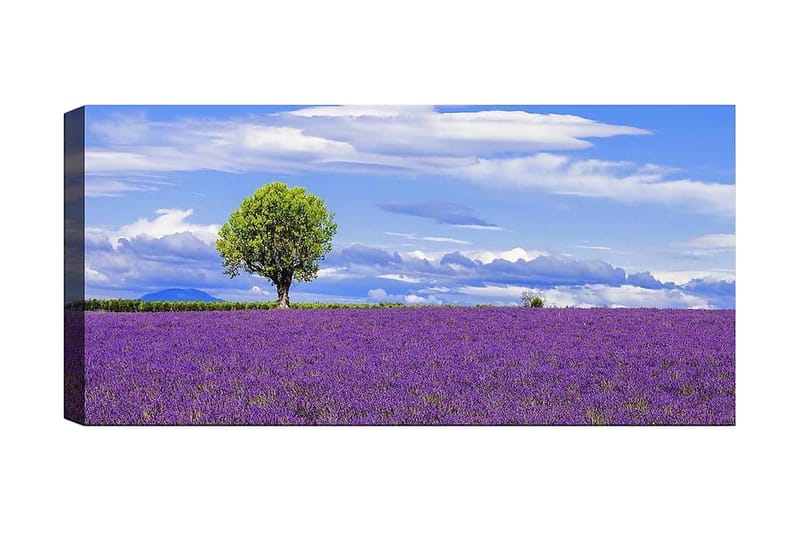 Canvasbilde YTY Floral & Botanical Flerfarget - 120x50 cm - Interiør - Maleri & posters - Lerretsbilder