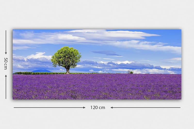 Canvasbilde YTY Floral & Botanical Flerfarget - 120x50 cm - Interiør - Maleri & posters - Lerretsbilder