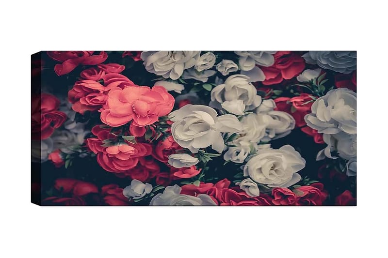 Canvasbilde YTY Floral & Botanical Flerfarget - 120x50 cm - Interiør - Maleri & posters - Lerretsbilder
