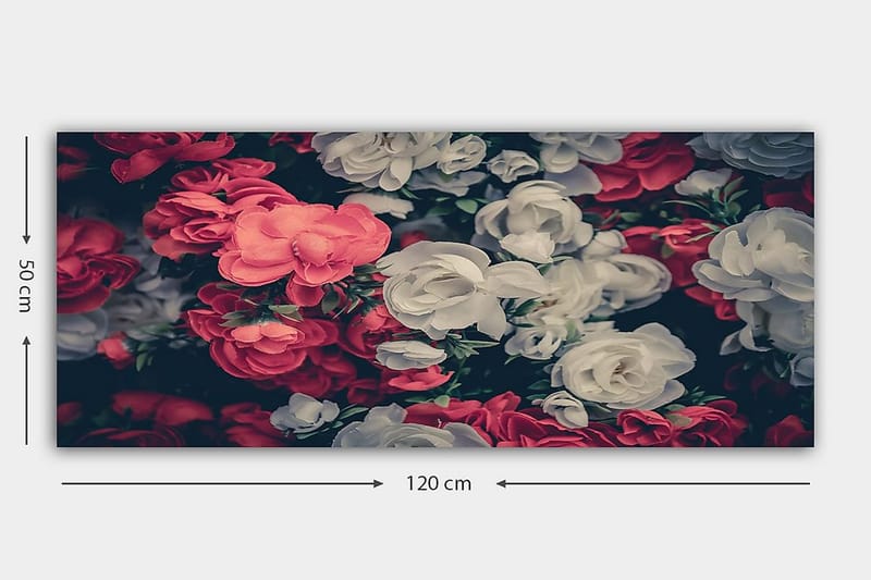 Canvasbilde YTY Floral & Botanical Flerfarget - 120x50 cm - Interiør - Maleri & posters - Lerretsbilder
