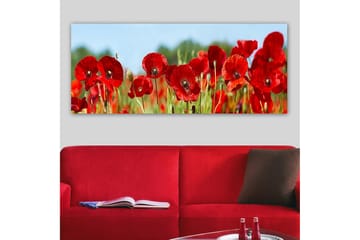 Canvasbilde YTY Floral & Botanical Flerfarget - 120x50 cm - Interiør - Maleri & posters - Lerretsbilder