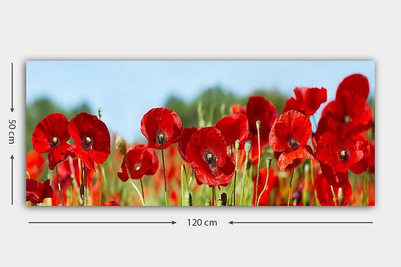 Canvasbilde YTY Floral & Botanical Flerfarget - 120x50 cm - Interiør - Maleri & posters - Lerretsbilder