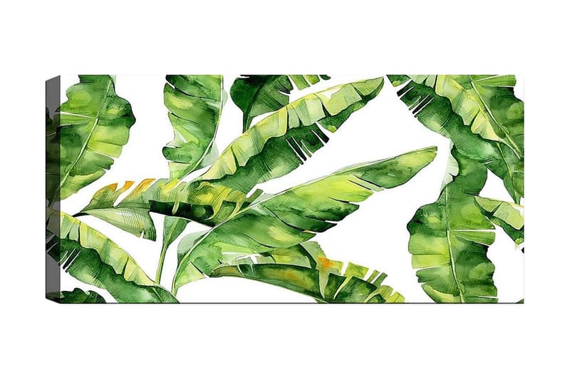Canvasbilde YTY Floral & Botanical Flerfarget - 120x50 cm - Interiør - Maleri & posters - Lerretsbilder