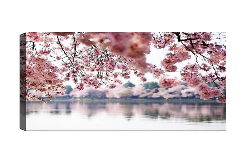 Canvasbilde YTY Floral & Botanical Flerfarget - 120x50 cm - Interiør - Maleri & posters - Lerretsbilder
