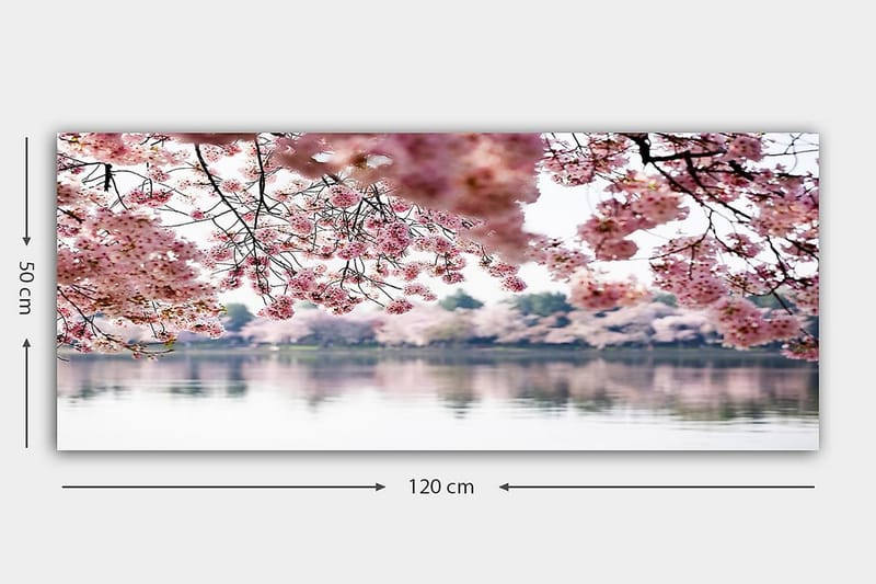 Canvasbilde YTY Floral & Botanical Flerfarget - 120x50 cm - Interiør - Maleri & posters - Lerretsbilder