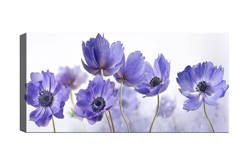 Canvasbilde YTY Floral & Botanical Flerfarget - 120x50 cm - Interiør - Maleri & posters - Lerretsbilder