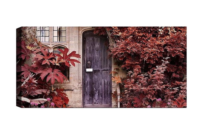 Canvasbilde YTY Floral & Botanical Flerfarget - 120x50 cm - Interiør - Maleri & posters - Lerretsbilder