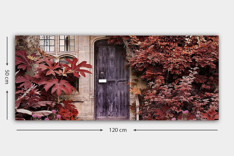 Canvasbilde YTY Floral & Botanical Flerfarget - 120x50 cm - Interiør - Maleri & posters - Lerretsbilder