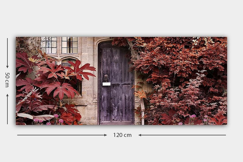 Canvasbilde YTY Floral & Botanical Flerfarget - 120x50 cm - Lerretsbilder