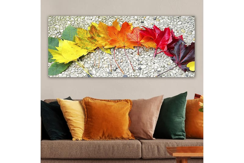 Canvasbilde YTY Floral & Botanical Flerfarget - 120x50 cm - Interiør - Maleri & posters - Lerretsbilder