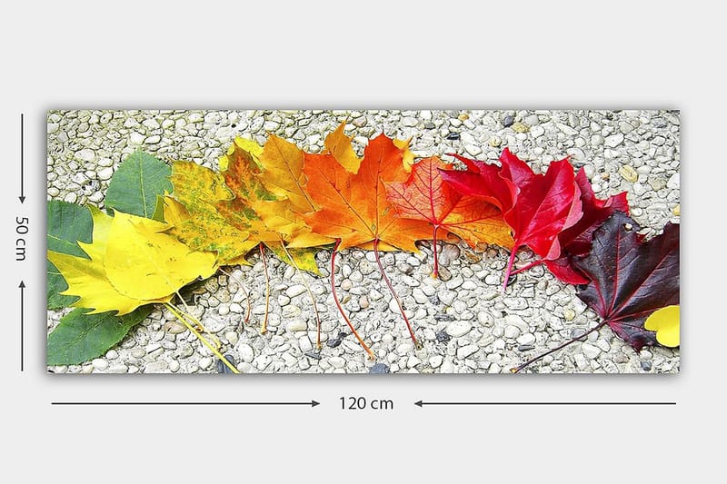 Canvasbilde YTY Floral & Botanical Flerfarget - 120x50 cm - Interiør - Maleri & posters - Lerretsbilder
