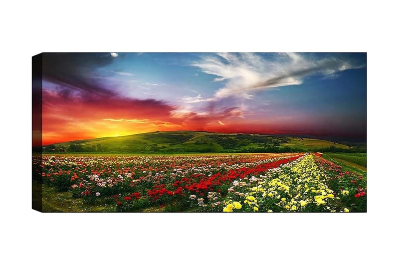 Canvasbilde YTY Floral & Botanical Flerfarget - 120x50 cm - Interiør - Maleri & posters - Lerretsbilder