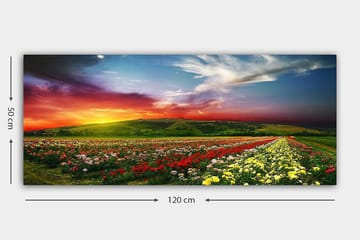 Canvasbilde YTY Floral & Botanical Flerfarget - 120x50 cm - Interiør - Maleri & posters - Lerretsbilder