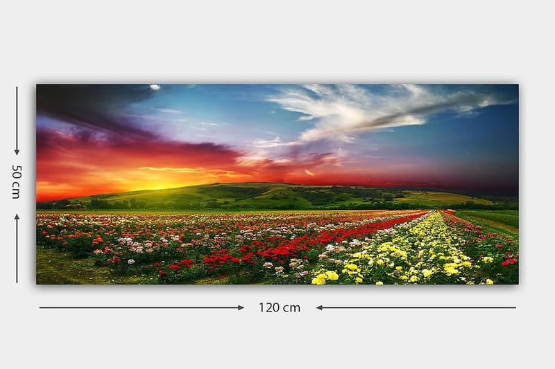 Canvasbilde YTY Floral & Botanical Flerfarget - 120x50 cm - Interiør - Maleri & posters - Lerretsbilder