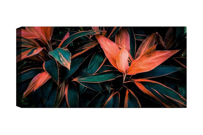 Canvasbilde YTY Floral & Botanical Flerfarget - 120x50 cm - Interiør - Maleri & posters - Lerretsbilder