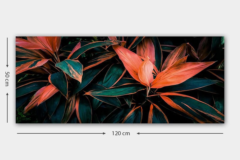 Canvasbilde YTY Floral & Botanical Flerfarget - 120x50 cm - Interiør - Maleri & posters - Lerretsbilder