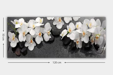 Canvasbilde YTY Floral & Botanical Flerfarget - 120x50 cm - Interiør - Maleri & posters - Lerretsbilder