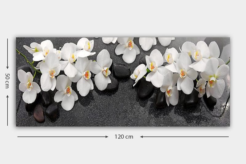 Canvasbilde YTY Floral & Botanical Flerfarget - 120x50 cm - Interiør - Maleri & posters - Lerretsbilder