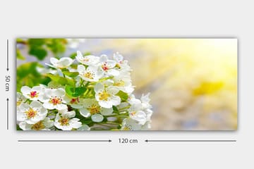 Canvasbilde YTY Floral & Botanical Flerfarget - 120x50 cm - Interiør - Maleri & posters - Lerretsbilder