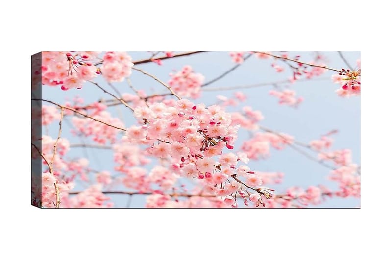 Canvasbilde YTY Floral & Botanical Flerfarget, 120x50 cm