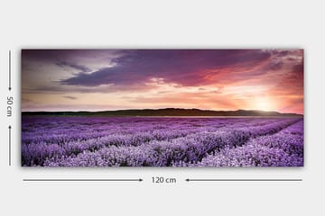 Canvasbilde YTY Floral & Botanical Flerfarget - 120x50 cm - Interiør - Maleri & posters - Lerretsbilder