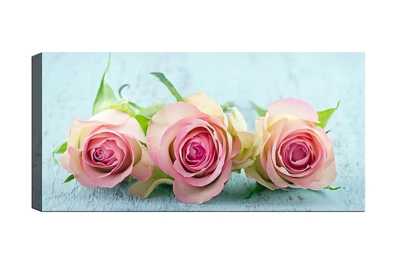 Canvasbilde YTY Floral & Botanical Flerfarget, 120x50 cm