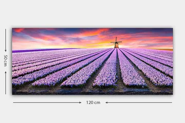 Canvasbilde YTY Floral & Botanical Flerfarget - 120x50 cm - Interiør - Maleri & posters - Lerretsbilder