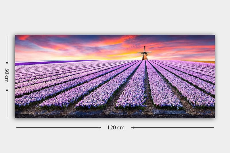 Canvasbilde YTY Floral & Botanical Flerfarget - 120x50 cm - Interiør - Maleri & posters - Lerretsbilder
