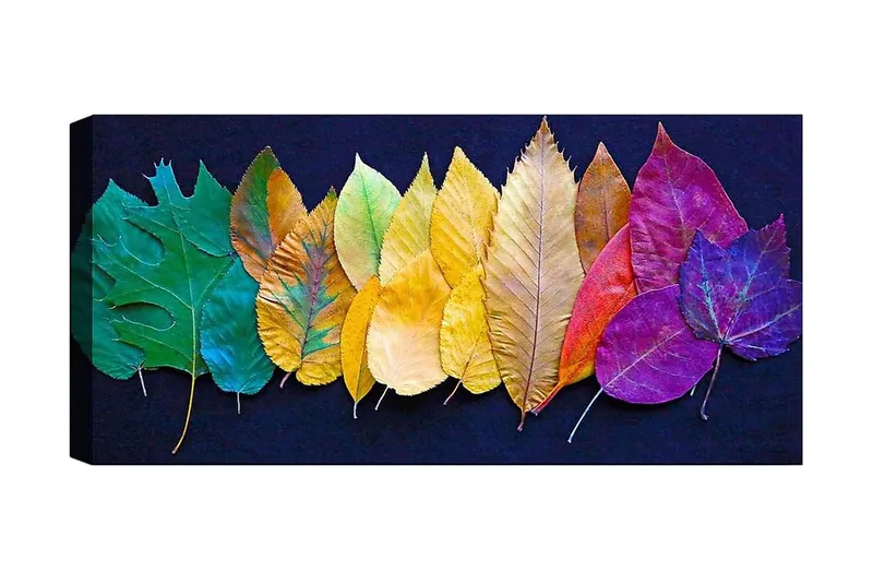 Canvasbilde YTY Floral & Botanical Flerfarget, 120x50 cm