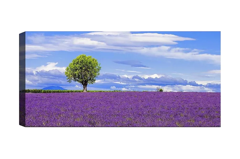 Canvasbilde YTY Floral & Botanical Flerfarget, 120x50 cm