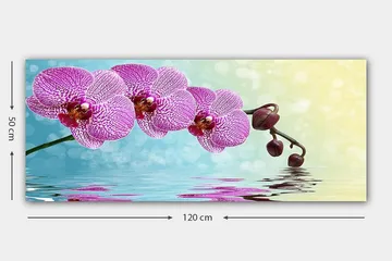 Canvasbilde YTY Floral & Botanical Flerfarget - 120x50 cm - Interiør - Maleri & posters - Lerretsbilder