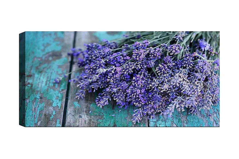 Canvasbilde YTY Floral & Botanical Flerfarget, 120x50 cm