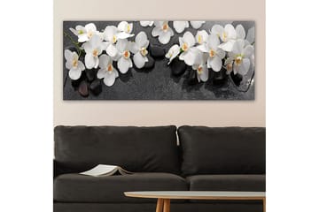 Canvasbilde YTY Floral & Botanical Flerfarget - 120x50 cm - Interiør - Maleri & posters - Lerretsbilder