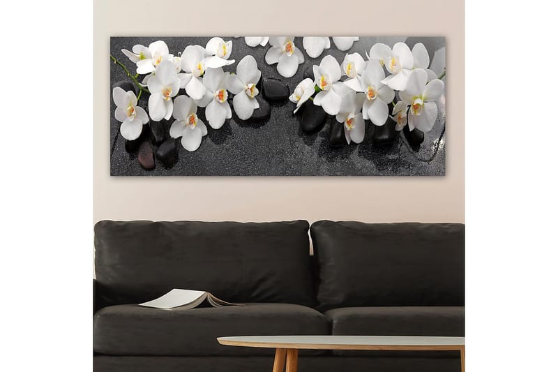 Canvasbilde YTY Floral & Botanical Flerfarget - 120x50 cm - Interiør - Maleri & posters - Lerretsbilder