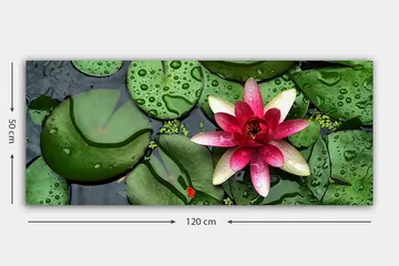 Canvasbilde YTY Floral & Botanical Flerfarget - 120x50 cm - Interiør - Maleri & posters - Lerretsbilder