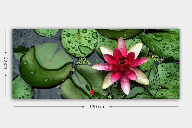 Canvasbilde YTY Floral & Botanical Flerfarget - 120x50 cm - Interiør - Maleri & posters - Lerretsbilder