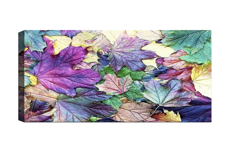 Canvasbilde YTY Floral & Botanical Flerfarget, 120x50 cm