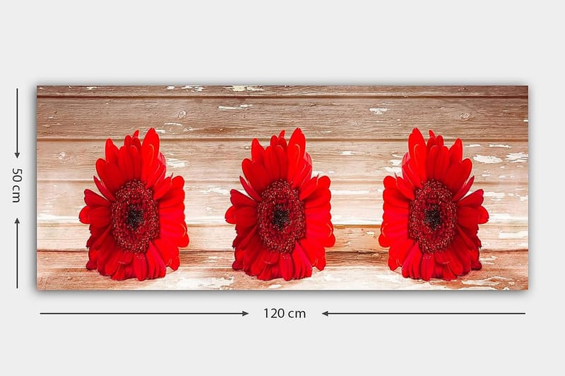 Canvasbilde YTY Floral & Botanical Flerfarget - 120x50 cm - Interiør - Maleri & posters - Lerretsbilder