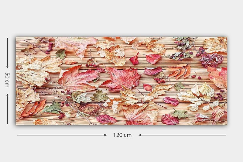Canvasbilde YTY Floral & Botanical Flerfarget - 120x50 cm - Interiør - Maleri & posters - Lerretsbilder