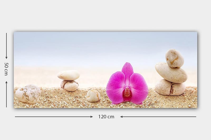 Canvasbilde YTY Floral & Botanical Flerfarget - 120x50 cm - Interiør - Maleri & posters - Lerretsbilder