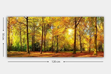 Canvasbilde YTY Landscape & Nature Flerfarget - 120x50 cm - Interiør - Maleri & posters - Lerretsbilder